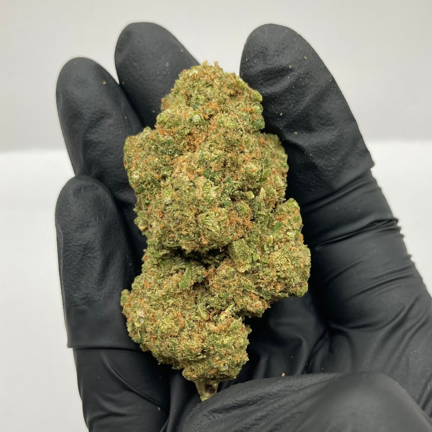 PLUSHBERRY CBD | plutonium x blueberry muffin | CALISWISS | 🇺🇸🇨🇭