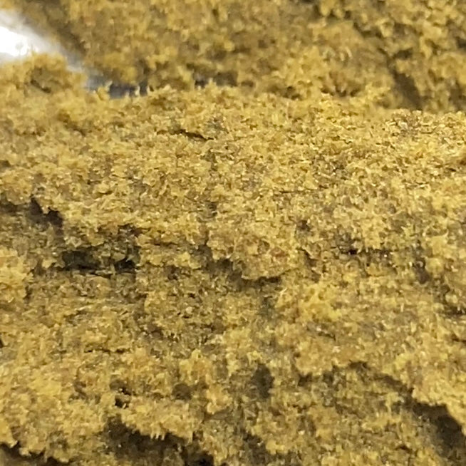 Golden Marocco CBD | 1er Cannaswiss Cup 22/23 | Maroc / Swiss 🇲🇦🇨🇭