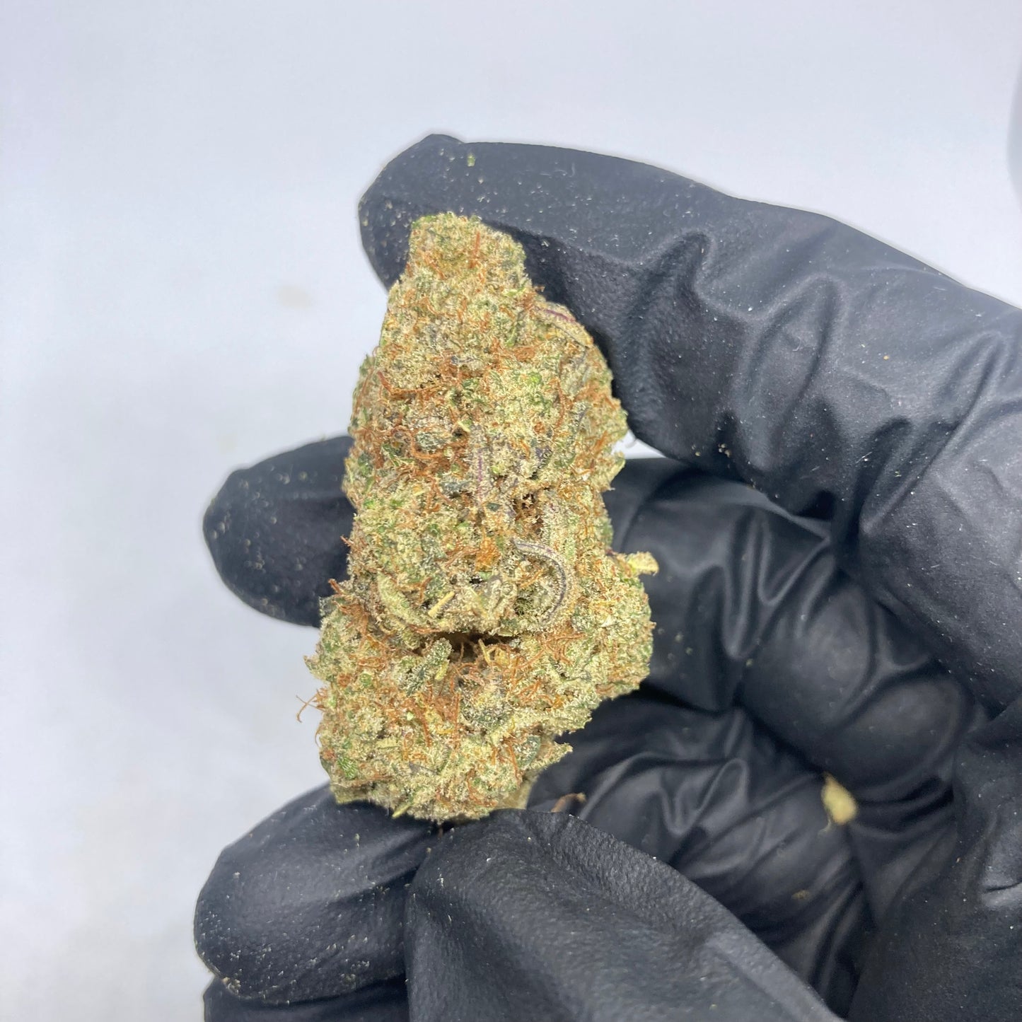 LEMON GRASS CBD | lemon ice x tangie kush | CALIFRENCH | 🇺🇸🇫🇷