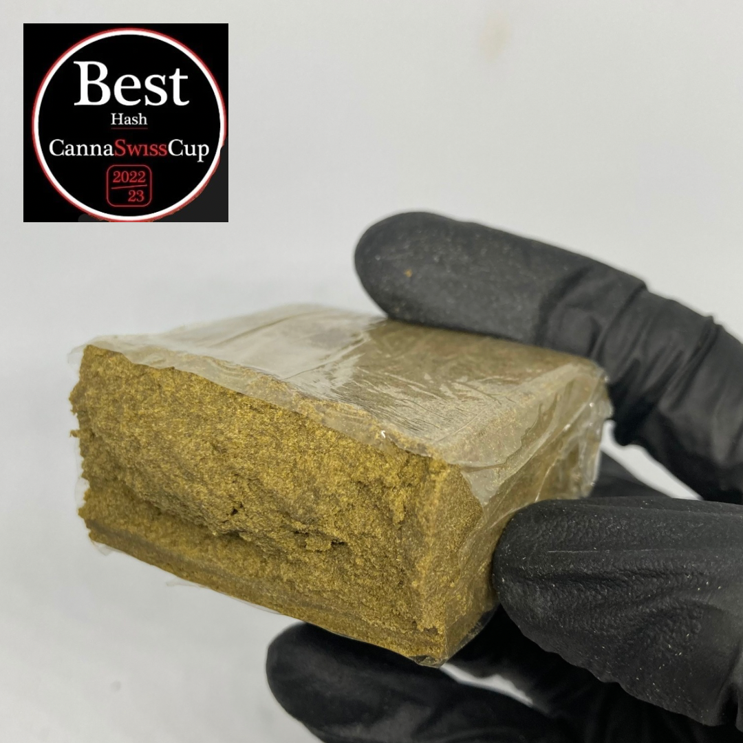 Golden Marocco CBD | 1er Cannaswiss Cup 22/23 | Maroc / Swiss 🇲🇦🇨🇭
