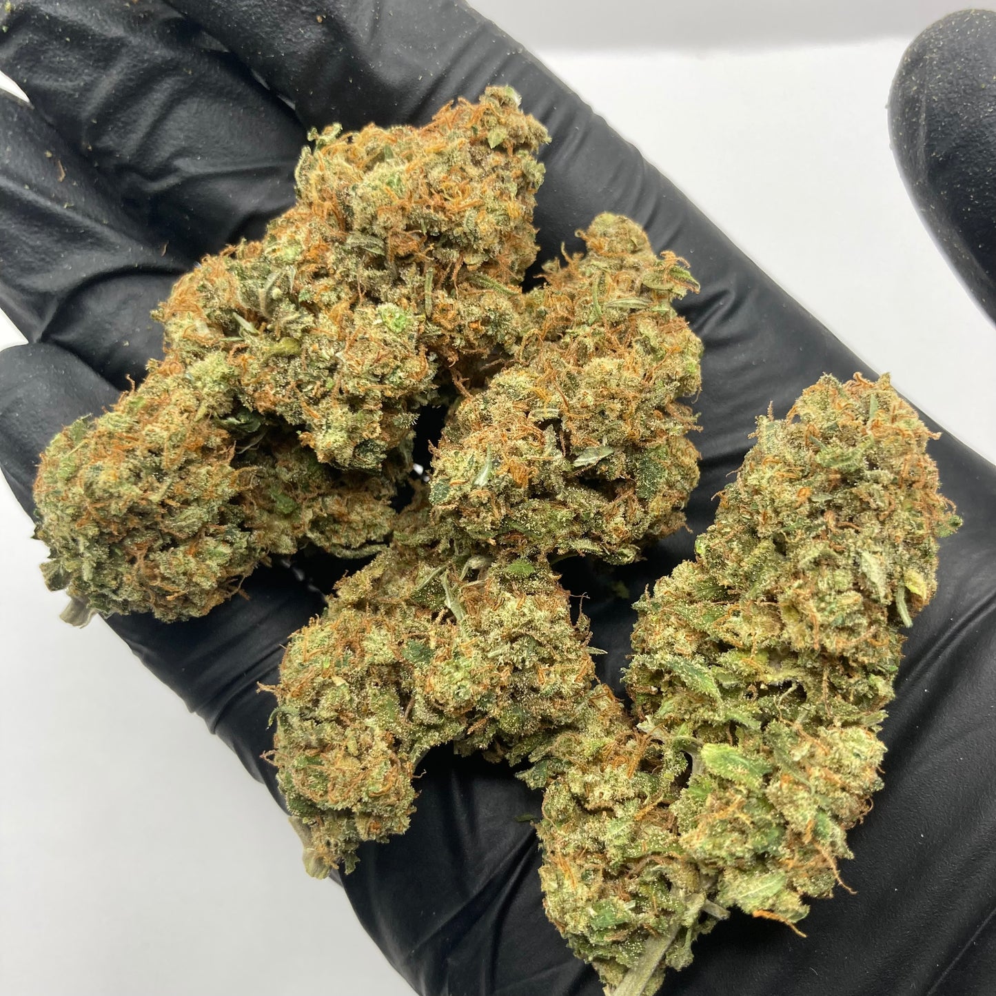 TANGIE KUSH CBD | kosher kush x tangie | CALIFRENCH 🇺🇸🇫🇷
