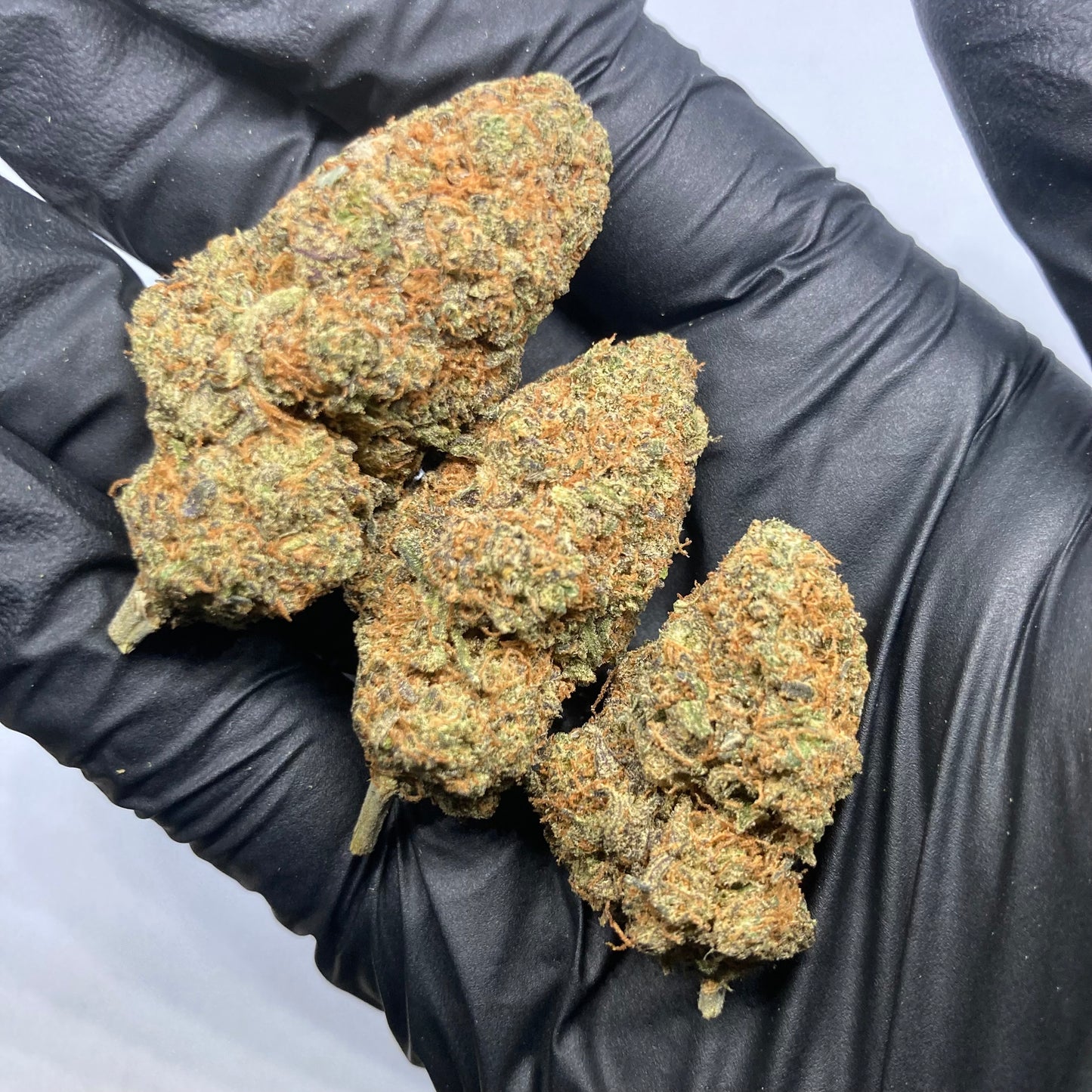 CALI GRAPES CBD | mango haze x harley quinn | CALISWISS | 🇺🇸🇨🇭