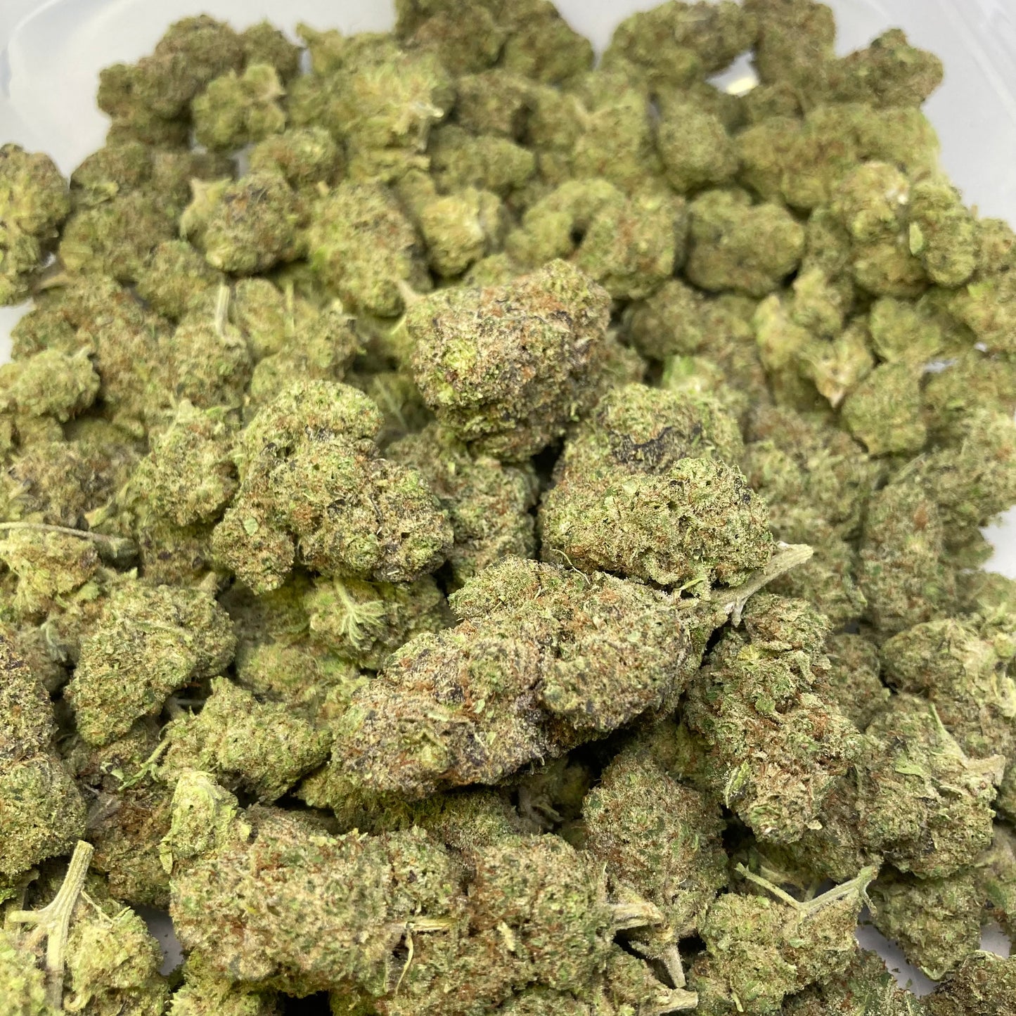 WONDERHAZE CBD |will’s wonder x s.s.haze | CALISWISS | 🇺🇸🇨🇭