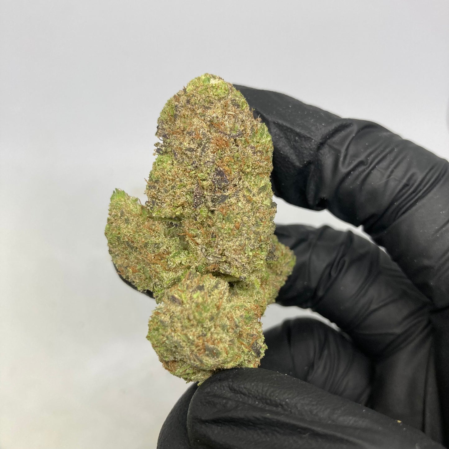 WONDERHAZE CBD |will’s wonder x s.s.haze | CALISWISS | 🇺🇸🇨🇭