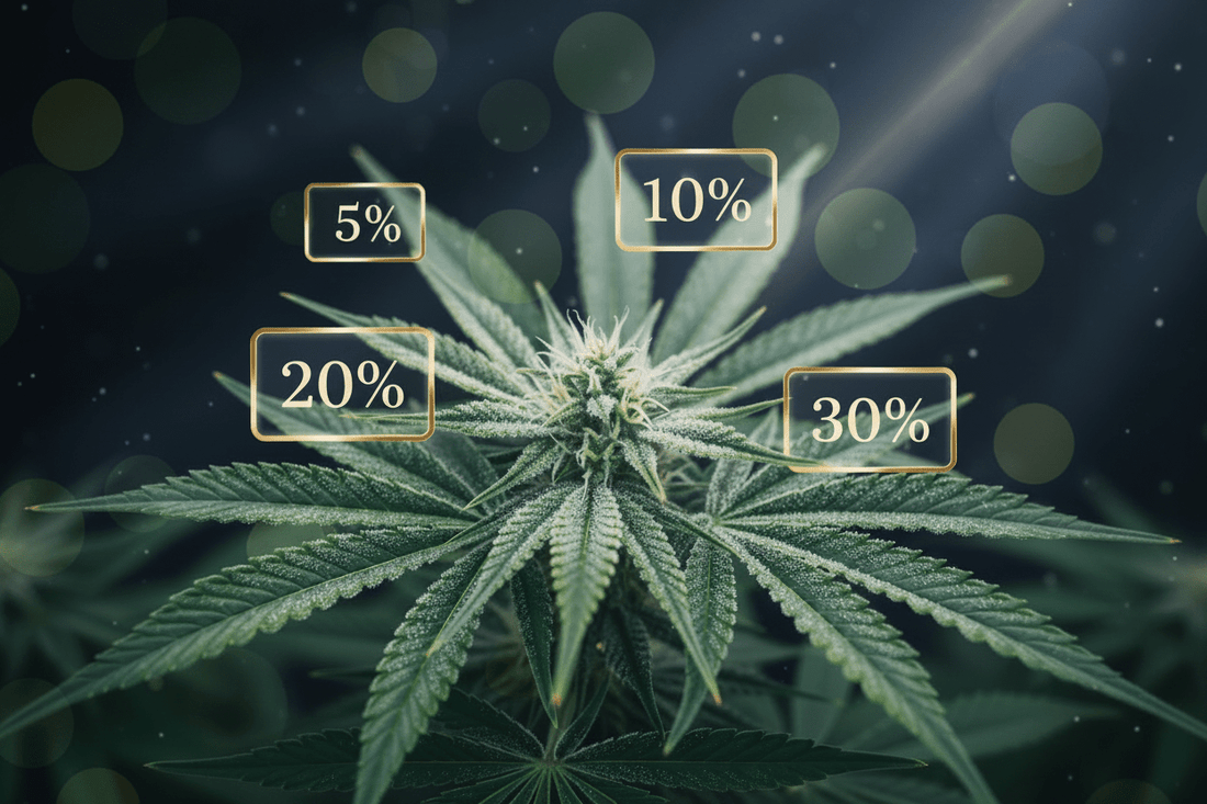 blog taux de CBD à 25 % ou 30 % sur les Fleurs : Vérité Scientifique ou Arnaque Marketing ?