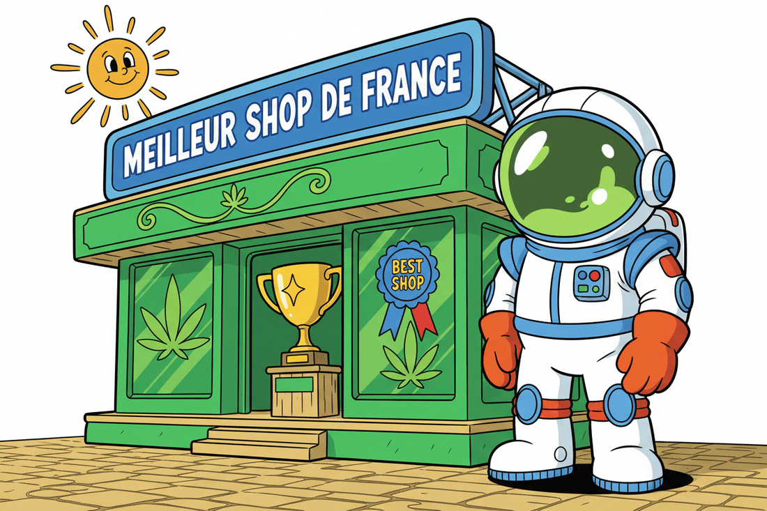 Gemini Shop : Pourquoi sommes-nous l'un des meilleurs shops CBD de France ?