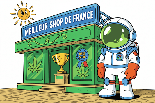 Gemini Shop : Pourquoi sommes-nous l'un des meilleurs shops CBD de France ?