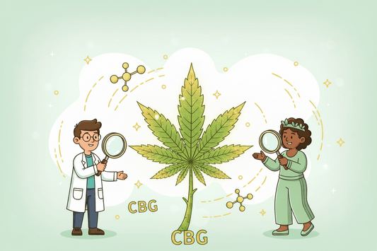 blog Qu’est-ce que le CBG ? Tout comprendre sur la « molécule mère » du chanvre