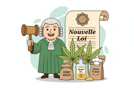 Novel Food et CBD : Le cadre légal en France en 2026