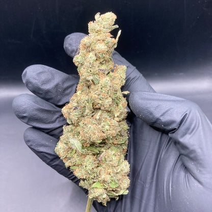 Relish Pomme CBD | CALIFRENCH | 🇺🇸🇫🇷