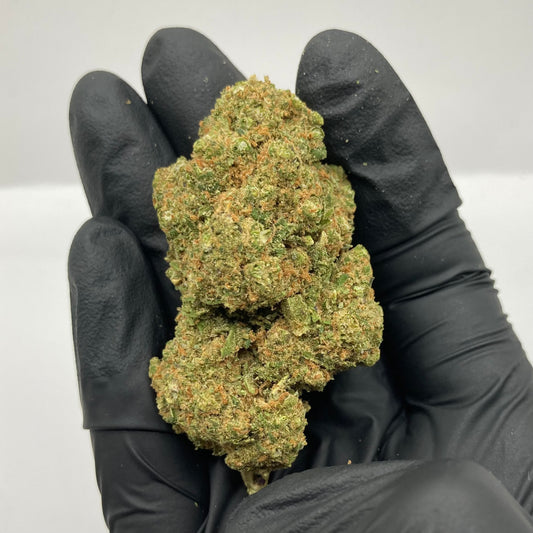 PLUSHBERRY CBD | plutonium x blueberry muffin | CALISWISS | 🇺🇸🇨🇭