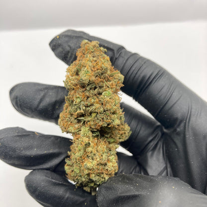 TANGIE KUSH CBD | kosher kush x tangie | CALIFRENCH 🇺🇸🇫🇷