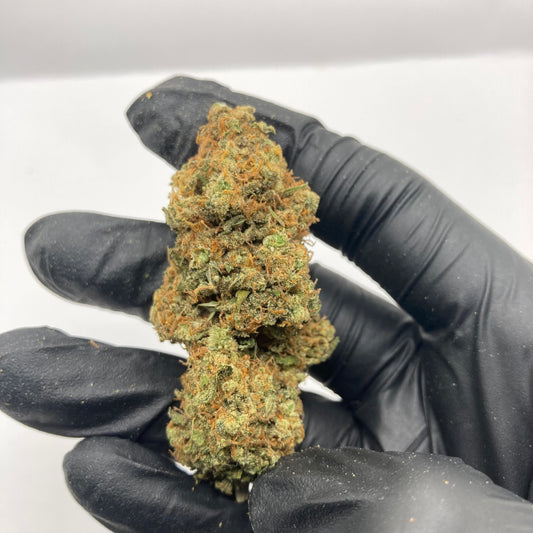 TANGIE KUSH CBD | kosher kush x tangie | CALIFRENCH 🇺🇸🇫🇷