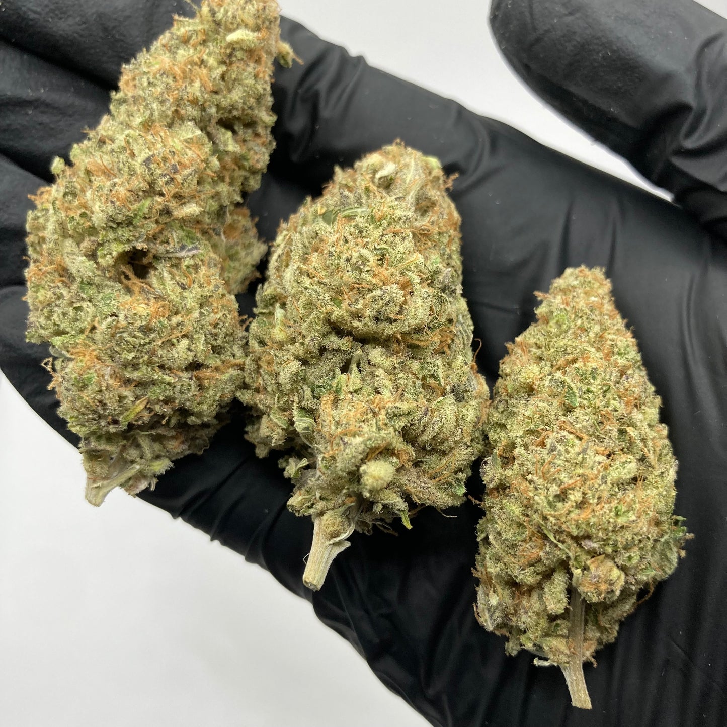 Dark Saphir CBD | BLACK DOG x SAPPHIRE SCOUT | CALIFRENCH | 🇺🇸🇫🇷