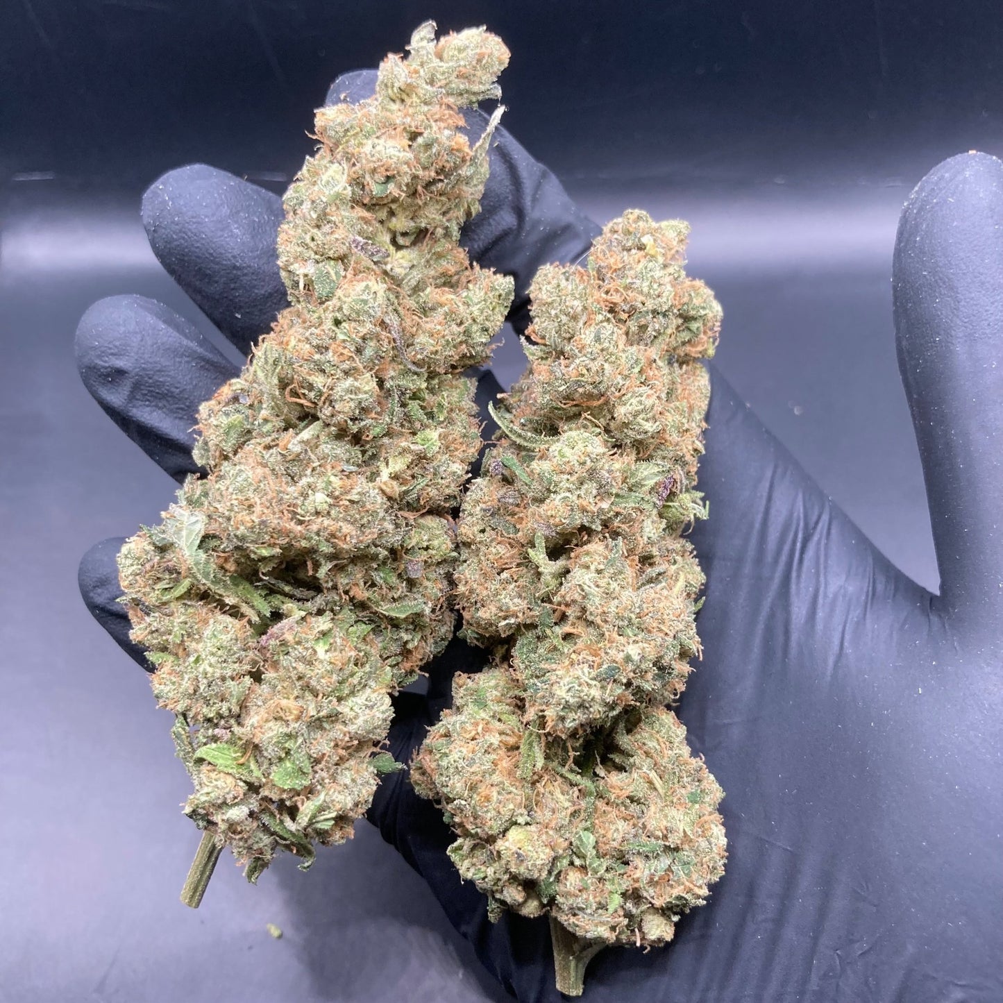 Relish Pomme CBD | CALIFRENCH | 🇺🇸🇫🇷