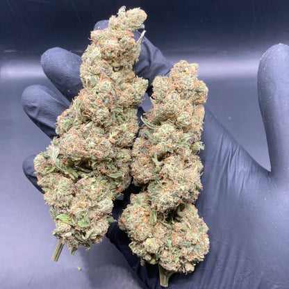 Relish Pomme CBD | CALIFRENCH | 🇺🇸🇫🇷