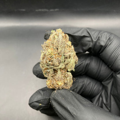 Gas Gaz CBD | CALIFRENCH | 🇺🇸🇫🇷