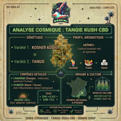 Tangie Kush CBD | CALI FRENCH 🇺🇸🇫🇷