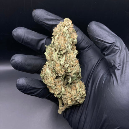 Dark Saphir CBD (Green house) | CALI FRENCH | 🇺🇸🇫🇷