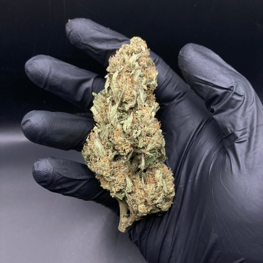 Dark Saphir CBD (Green house) | CALI FRENCH | 🇺🇸🇫🇷