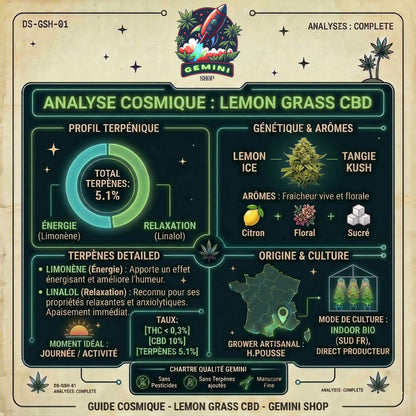 Lemon Grass CBD | CALI FRENCH | 🇺🇸🇫🇷